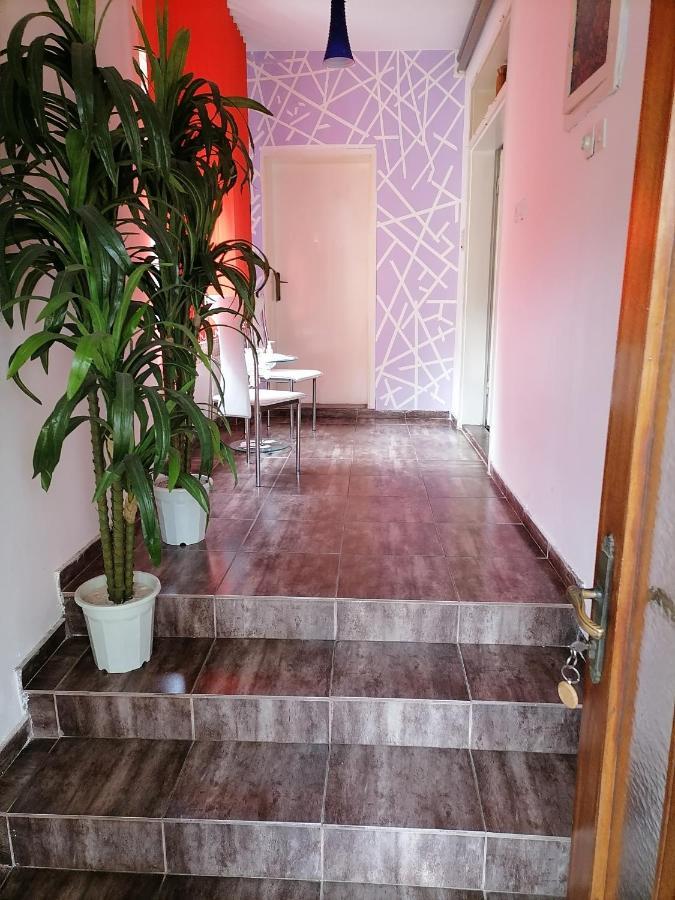 Smestaj U Okviru Domacinstva Sobe Sosa Palić Zewnętrze zdjęcie
