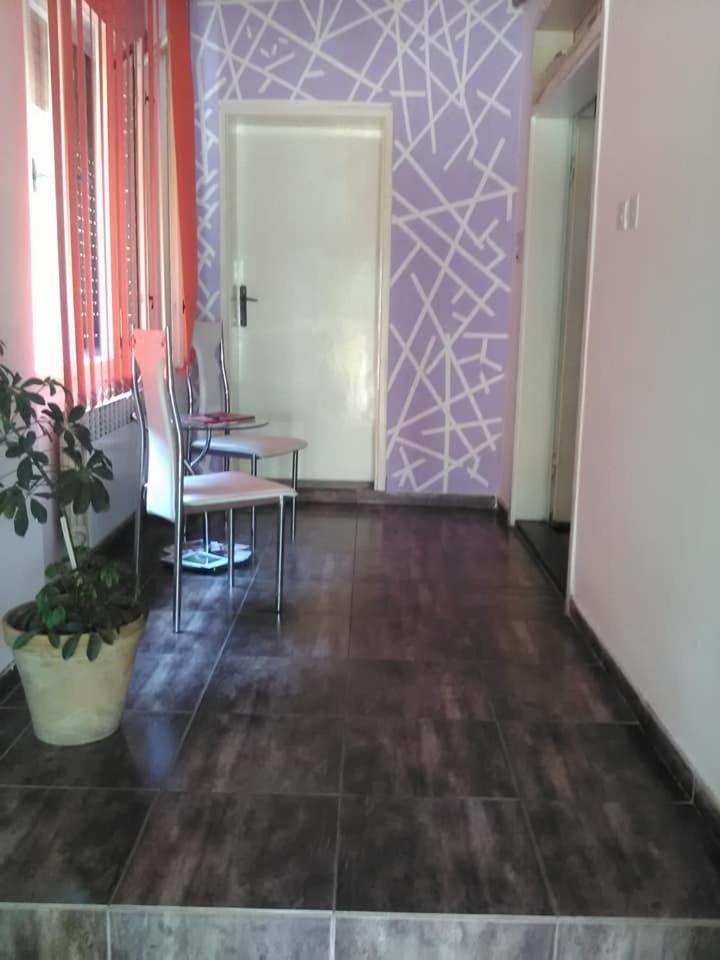 Smestaj U Okviru Domacinstva Sobe Sosa Palić Zewnętrze zdjęcie